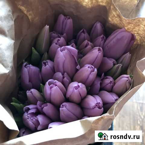 Тюльпаны к 8 марта оптом/ Крупные Красноярск - изображение 1