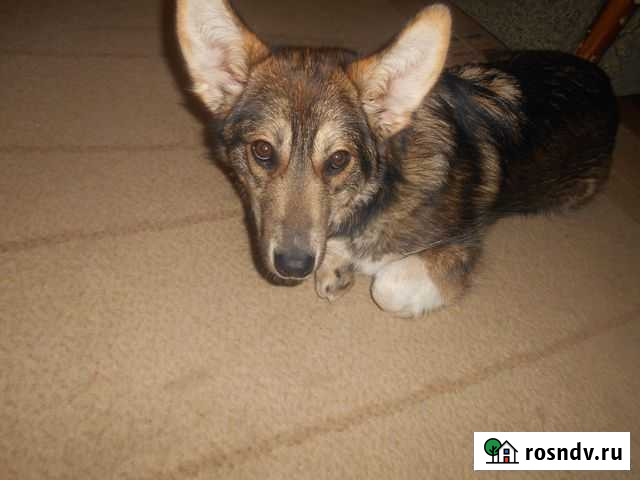 Люся Белые Берега - изображение 1