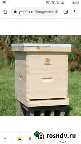 Пчелы с ульями Дюртюли - изображение 1