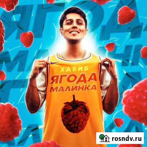 Билеты на концерт Хабиба Казань - изображение 1