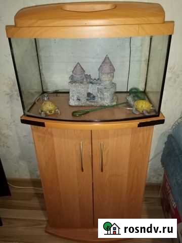 Аквариум с тумбой бу Гусев - изображение 1