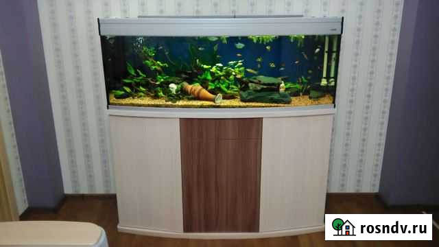 Аквариум Северск - изображение 1