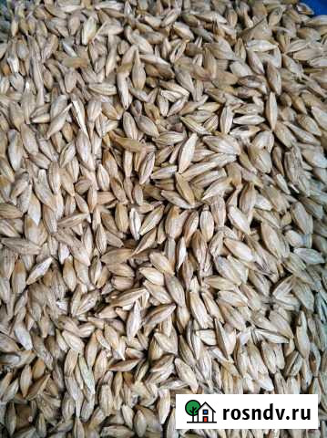 Просо, пшеница,ячмень,горох, рожь, подсолнечник (с Мелеуз - изображение 1