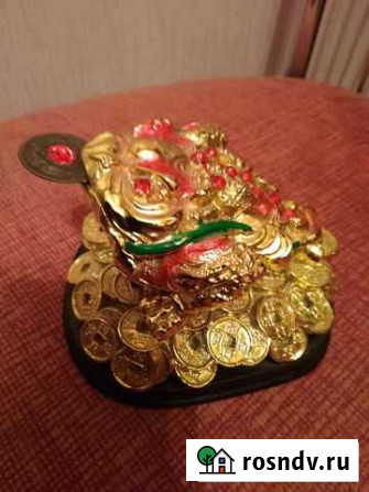 Жаба денежная Ижевск - изображение 1