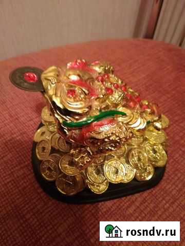 Жаба денежная Ижевск - изображение 1