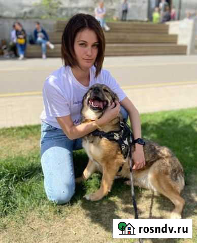 Малышка Луна из приюта ищет семью Люберцы - изображение 1