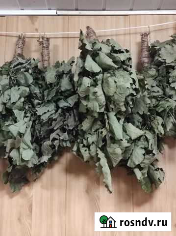 Дубовые веники для бани Гагарин - изображение 1