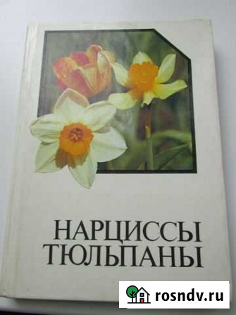 Книга-справочник Нарциссы тюльпаны Алексин - изображение 1