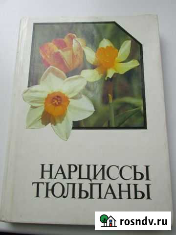 Книга-справочник Нарциссы тюльпаны Алексин - изображение 1