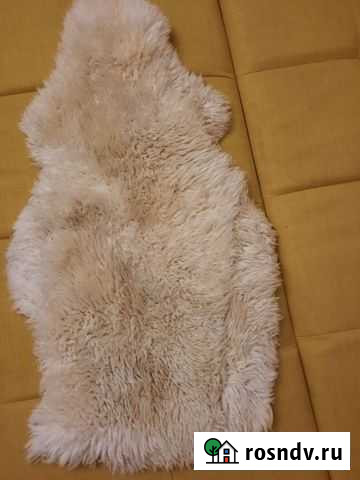 Шкура овчина Жуков - изображение 1