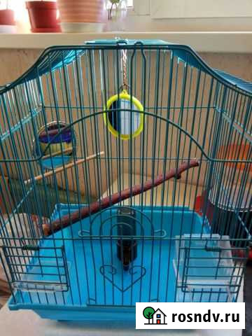 Клетка Кингисепп - изображение 1