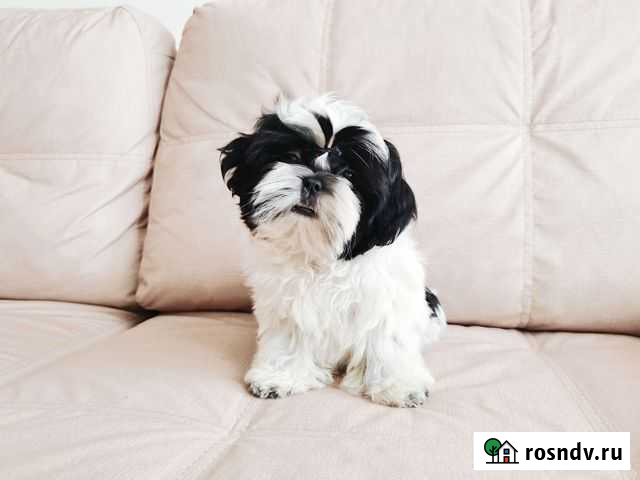 Великолепные и красивые Белгород - изображение 1