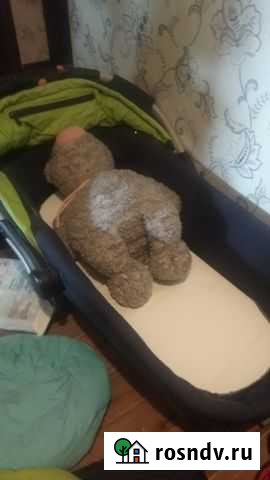 Автолюлька Самара - изображение 1