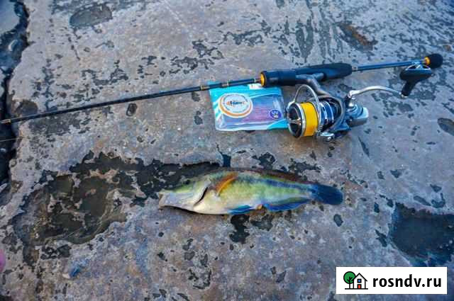 Kosadaka patrol Новороссийск - изображение 1