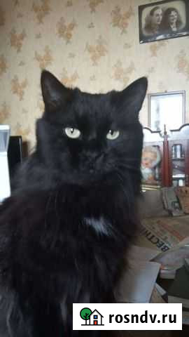 Очень нужен дом Екатеринбург - изображение 1