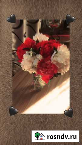 Навоз Полысаево - изображение 1