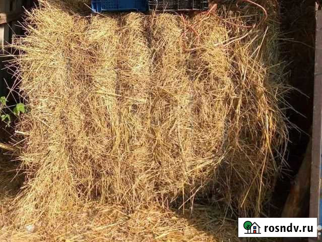 Сено в тюках разнотравье Ленинградская - изображение 1