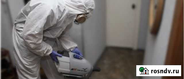 Уничтожение клопов, тараканов, мышей Салават - изображение 1