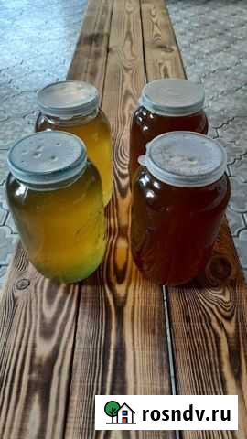 Мёд Егорлыкская - изображение 1