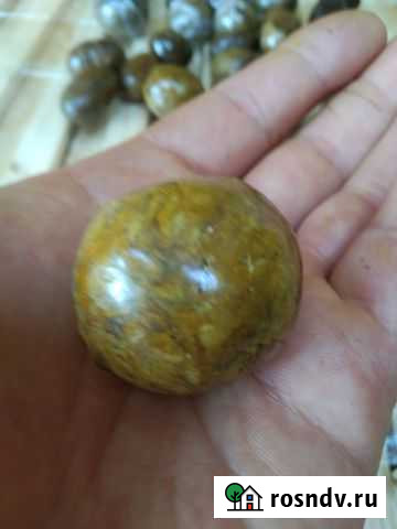 Продам прополис Дубовое - изображение 1