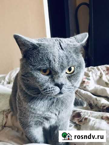 Вязка Брянск - изображение 1