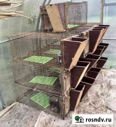 Клетки для кроликов Кокошкино