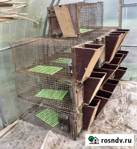 Клетки для кроликов Кокошкино - изображение 1