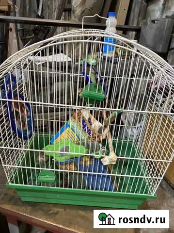 Клетка для птиц Чехов - изображение 1