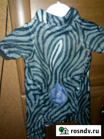 Комбенизон для собаки Узловая - изображение 1