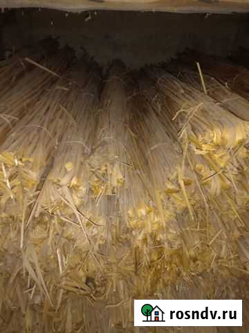 Камыш в снопах Яксатово - изображение 1