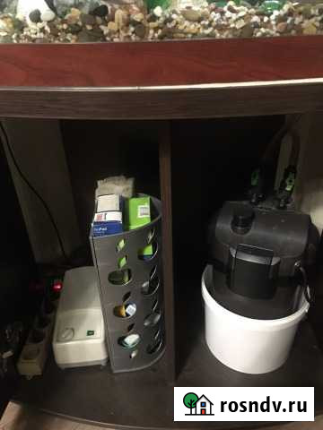 Аквариум Коломна - изображение 1