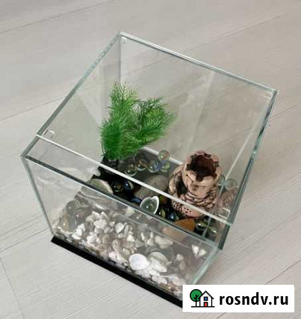Аквариум Люберцы - изображение 1