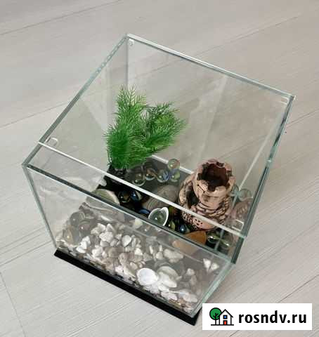 Аквариум Люберцы - изображение 1