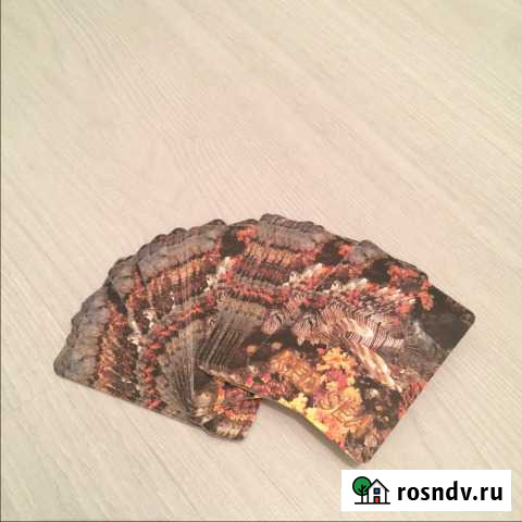 Карты игральные Рыбы Красного моря Ярославль - изображение 1