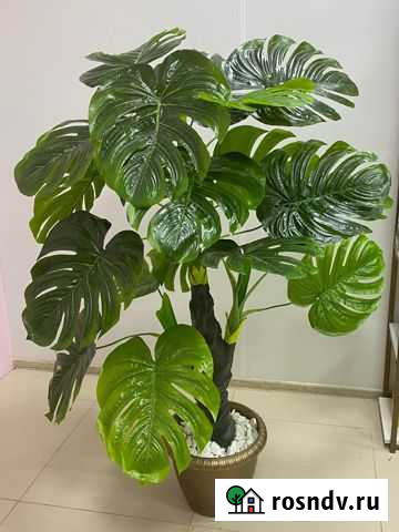 Монстера искуственное дерево Белореченск - изображение 1