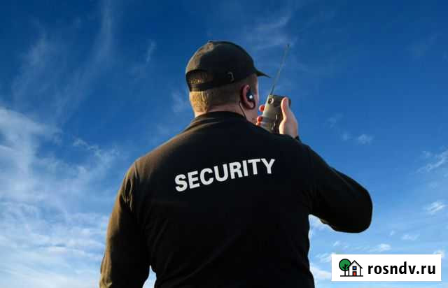 Инспектор службы безопасности Игрим - изображение 1