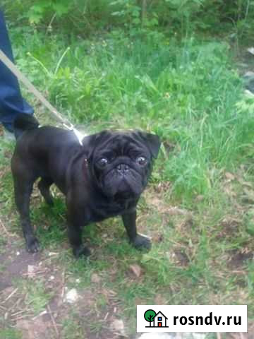 Вязка Щекино - изображение 1