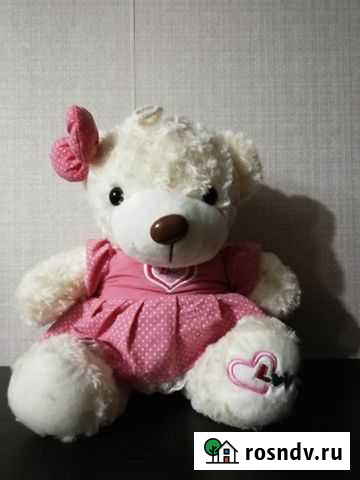 Медведь Новокузнецк - изображение 1