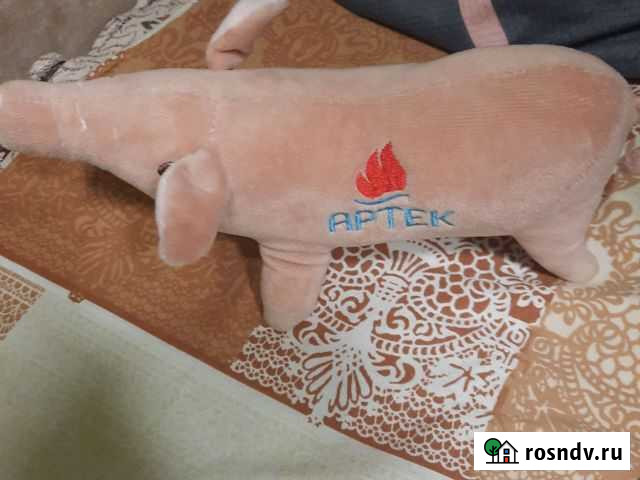 Свинья С надписью артек Суджа - изображение 1