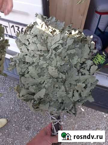 Банный веник/Дубовый веник Ильский - изображение 1