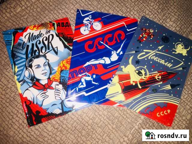 Обложка на паспорт Курск - изображение 1