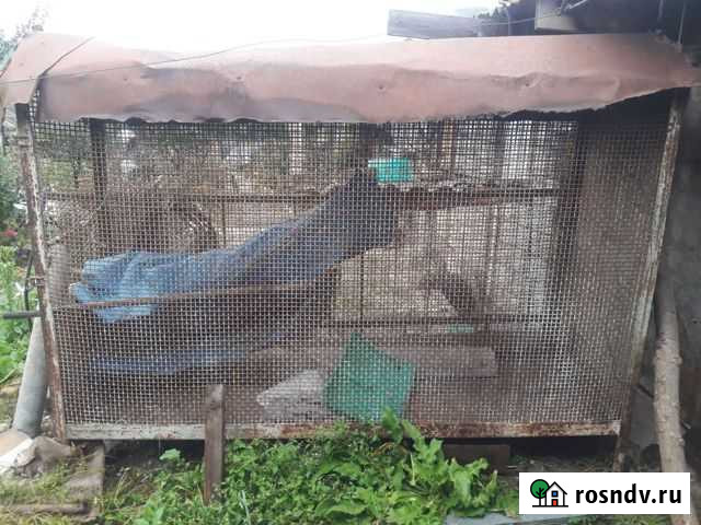 Ящик и дуу Заюково - изображение 1