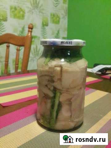 Грузди 2021 г Сыктывкар - изображение 1