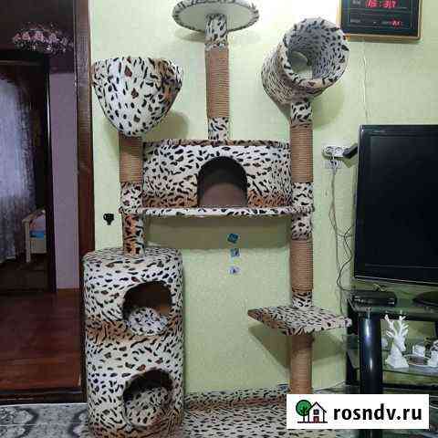 Кошачий дом Новоукраинское