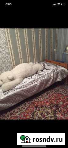 Подарок медведь Луга - изображение 1