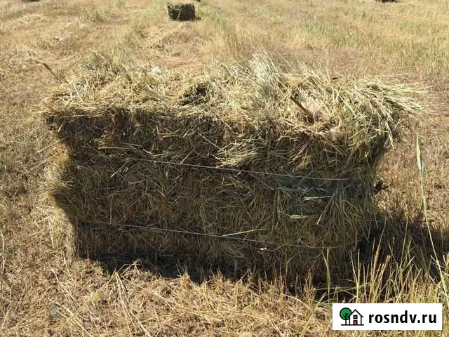 Сено в тюках Новорождественская - изображение 1