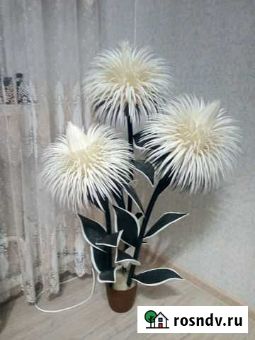 Ночник Майкоп - изображение 1