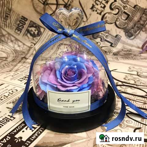 Роза в куполе /колбе Казань - изображение 1