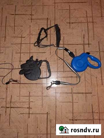 Поводок рулетка, шлейка Коломна - изображение 1