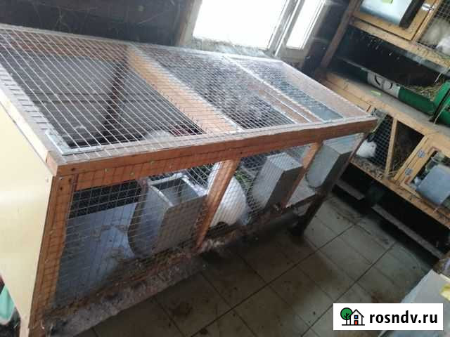 Клетка Новошахтинск - изображение 1